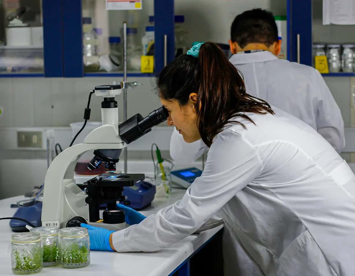Investigación SynergiaBIO