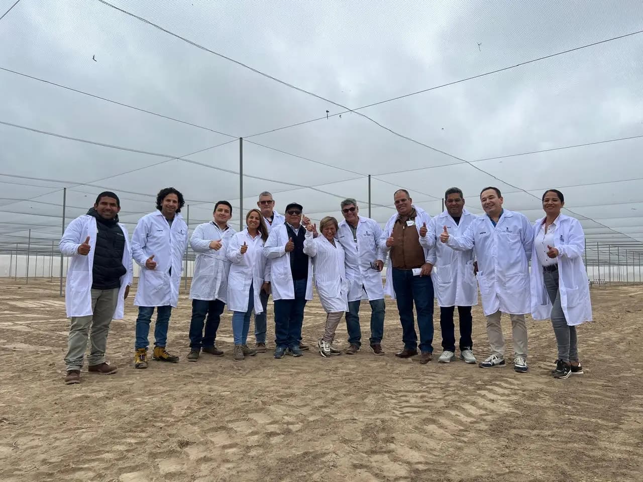 Vivero Los Viñedos y SynergiaBIO Chile se unen para revolucionar la producción de plantas en Perú